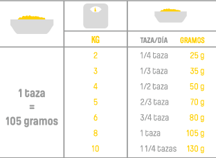 i12 nutram ideal weight control cat guia i12