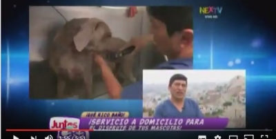 Entrevista Juntos en Casa (nextv.pe)
